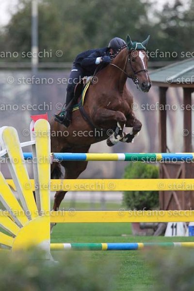 SANFELICE_GABBIA_GIO CAV 2011_(235) SS3_9959.jpg